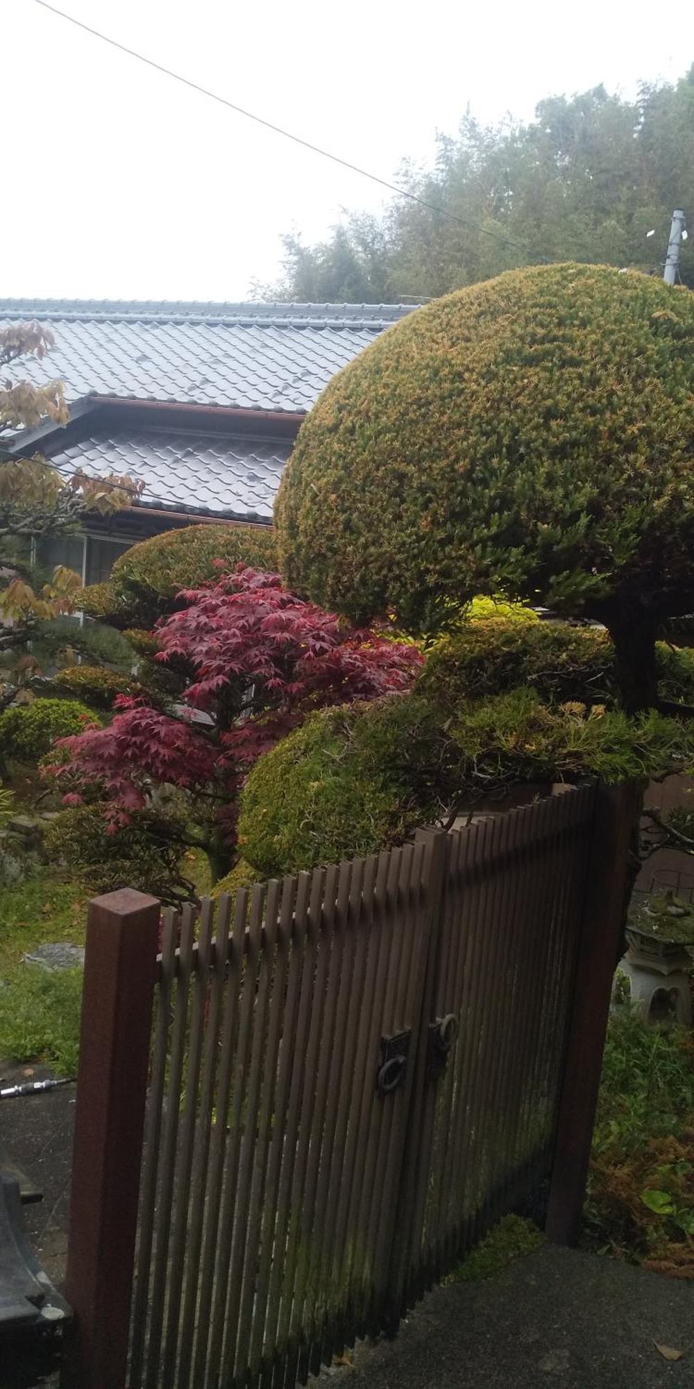 Raibrasil Guest House Sanuki  Esterno foto
